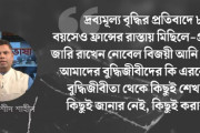 স্বাধীনতার আগে ও পরে বুদ্ধিজীবীর খোঁজে