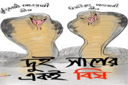 পতিত আওয়ামীলীগের প্রাসঙ্গিকতা প্রতিষ্টা  ও জুলাই বিপ্লব ধ্বংসে জরীপ!