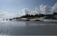 ১০০ দিন পর উন্মুক্ত হলো সমুদ্রকন্যা কুয়াকাটা সৈকত