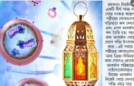 মানবদেহে রোজার প্রভাব