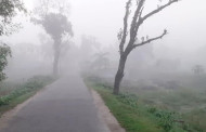 ডিসেম্বরে দেশের তাপমাত্রা নেমে আসতে পারে ৬ ডিগ্রি সেলসিয়াসে