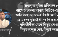 স্বাধীনতার আগে ও পরে বুদ্ধিজীবীর খোঁজে