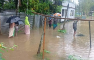 শেরপুরে পাহাড়ি ঢলে নিম্নাঞ্চল প্লাবিত