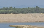 রাখাইন-টেকনাফ সীমান্তে রাতভর মর্টার শেল-গুলির বিকট শব্দ