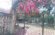বাংলাদেশেও টিউলিপের বিপুল সম্পদের  সন্ধান