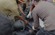 কলকাতায় নালা পরিষ্কার করতে গিয়ে ৩ শ্রমিকের মৃত্যু