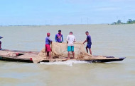 হাওরের জলে বিষ, হুমকির মুখে শত কোটি টাকার মৎস্যসম্পদ