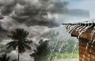 আসামে আকস্মিক ঝড়-বৃষ্টি, আইএমডি-র একাধিক জেলায় সতর্কতা