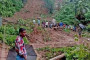 প্রকাশিত হল মধ্যশিক্ষা পর্ষদের দশম শ্রেণির পরীক্ষার ফল