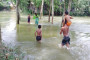 স্বাস্থ্যমন্ত্রী বললেন, ‘স্বাস্থ্যখাতে দুর্নীতি-সিন্ডিকেট নেই, সবই অতিরঞ্জিত’