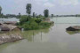 উড়িষ্যায় করোনা প্রতিরোধে শিশুদের পান করানো হলো দেশীয় মদ!