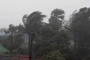 গরুর মাংস বেশি খাওয়া মানা, বাড়বে স্বাস্থ্যঝুঁকি