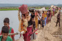 জনপ্রতিনিধি হবার হিড়িক
