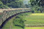 রোহিঙ্গা ক্যাম্পে জন্মহার না কমালে বিস্ফোরণ ঘটবে: সংসদীয় কমিটি