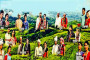 পিলখানা হত্যাকাণ্ডের দিনকে জাতীয় শোক দিবস করুন: রিজভীর আহ্বান