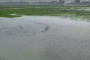 পশ্চিমবঙ্গে আরও ৫টি নতুন জেলা! নবান্ন এবার ভাঙতে চলেছে দুই ২৪ পরগনাকে
