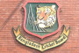 রুই মাছের মুইঠ্যা রেসিপি