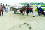 বেনজীরের সাফাই, দুদকের নয়া নাটক