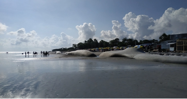 ১০০ দিন পর উন্মুক্ত হলো সমুদ্রকন্যা কুয়াকাটা সৈকত