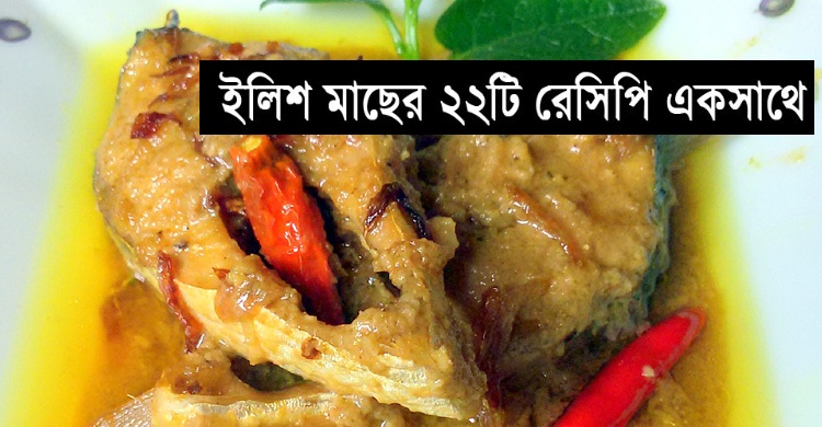 মাছের রাজা ইলিশের মজাদার ২২টি রেসিপি একসাথে
