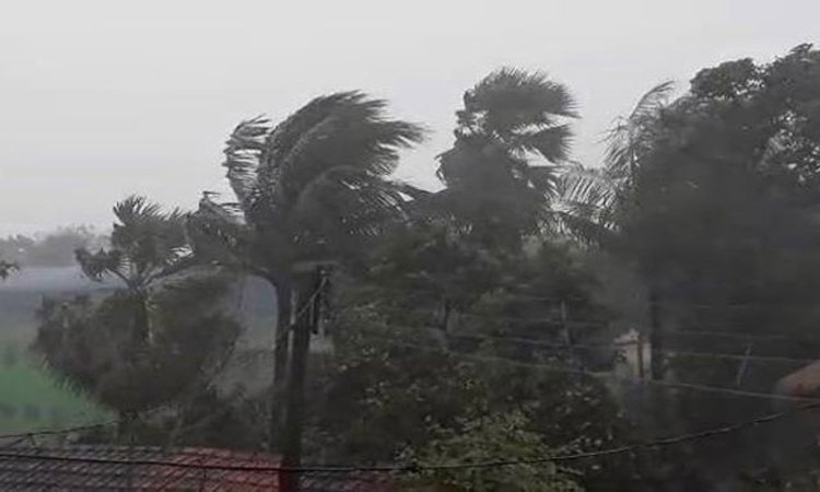 মঙ্গলবার থেকে বাংলাদেশে বৃষ্টিপাতের প্রবণতা বৃদ্ধি পাবে