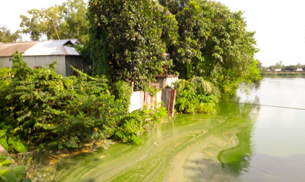 দখল দূষণে হারিয়ে যাচ্ছে সাগরদিঘী!