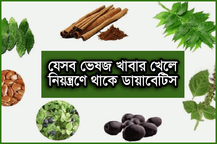 যেসব ভেষজ খাবার খেলে নিয়ন্ত্রণে থাকে ডায়াবেটিস