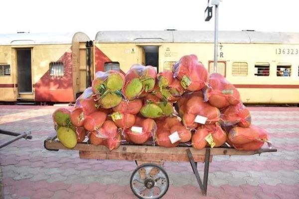 ত্রিপুরার কাঠাল গেল লন্ডন-এ