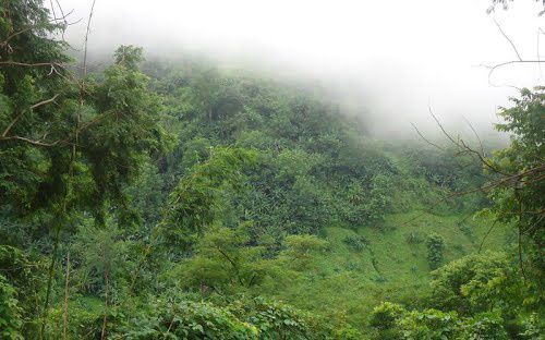 ত্রিপুরায় সরকারি সাহায্য সহায়তা বাড়ানোর জন্য জুমিয়া পরিবারগুলো দাবি