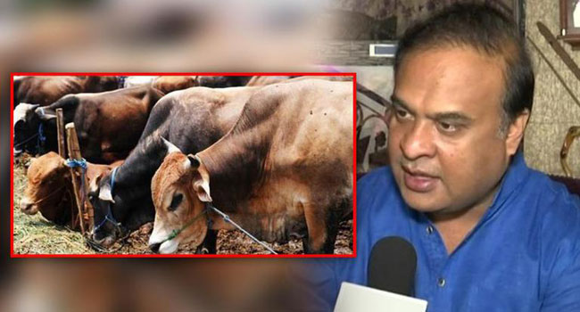 আসামে গো সংরক্ষণে আইন পাস, বিফ বিক্রি নিয়েও চরম কড়াকড়ি