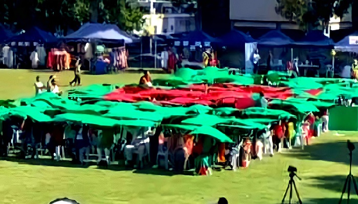 বিদেশের মাটিতে প্রথম বাংলাদেশি মানবপতাকা!