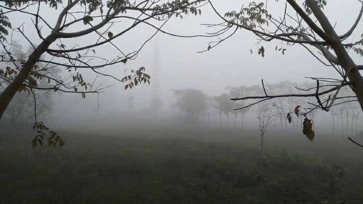 বাংলাদেশে বজ্রসহ বৃষ্টি হতে পারে