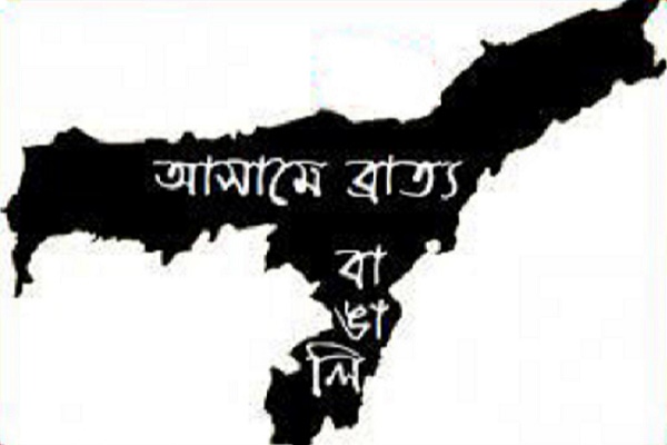 বিশেষজ্ঞদের অভিমত: ঐক্যের অভাবেই আসামে বাঙালির প্রতিনিধি কম