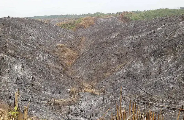 বান্দরবনে রাবার বাগানের নামে দখল করা জমি ফিরিয়ে দেওয়ার দাবি