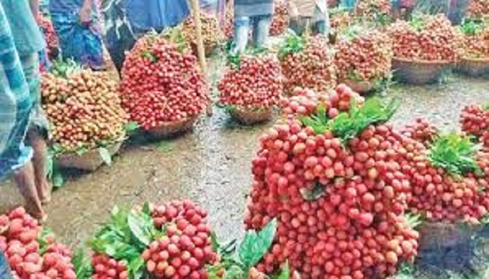 বাংলাদেশের তিন উপজেলায় বিক্রি হবে ২৯ কোটি টাকার লিচু