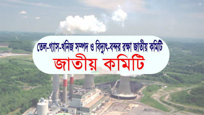 সরকারের ভুলনীতি ও দুর্নীতির কারণেই বিদ্যুৎ সংকট: জাতীয় কমিটি