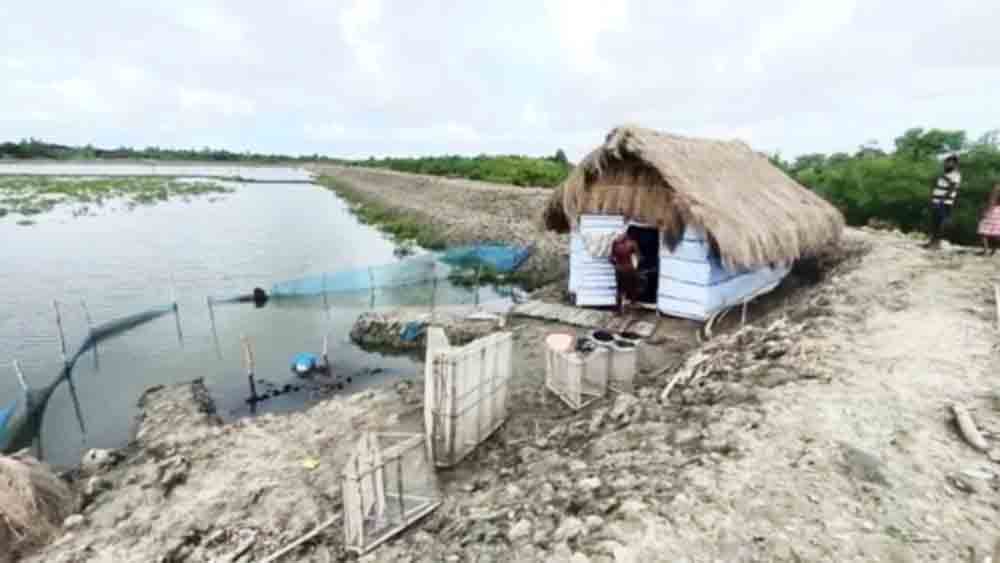 পশ্চিমবঙ্গে চাষ ময়না-মডেলে মাছ চাষ