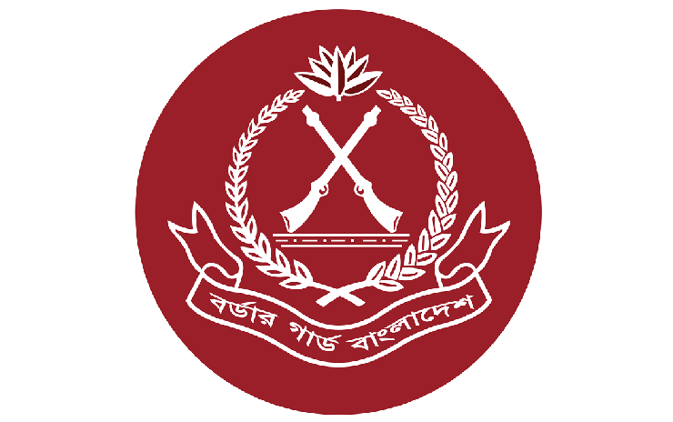 নভেম্বরে সীমান্তে ২৪ মর্টার শেল, স্বর্ণ, মাদকসহ ১৩৪ কোটি টাকার পণ্য জব্দ