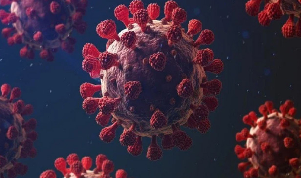 ত্রিপুরায় করোনার দৈনিক সংক্রমণে বড়সড় বৃদ্ধি, আক্রান্ত ১১, সুস্থও হলেন ৯, সক্রিয় রোগী ৪৬