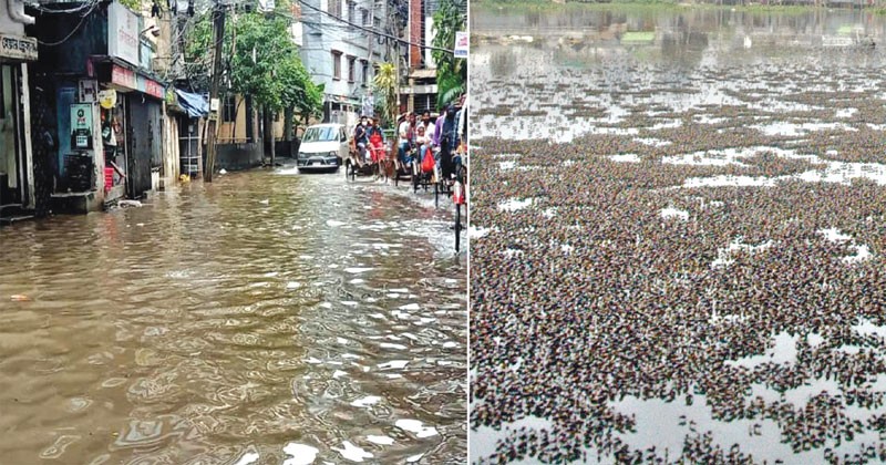 নৈরাজ্য-অরাজকতার কবলে ঢাকার নগরজীবন