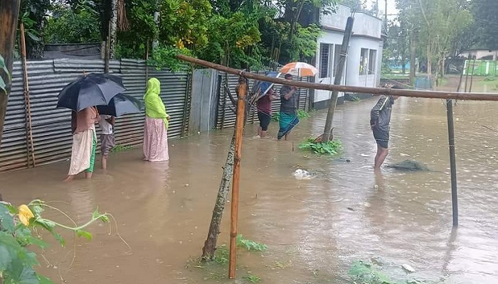 শেরপুরে পাহাড়ি ঢলে নিম্নাঞ্চল প্লাবিত