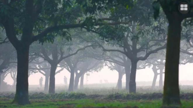 শীত ও কুয়াশা নিয়ে যে বার্তা দিল আবহাওয়া অধিদপ্তর